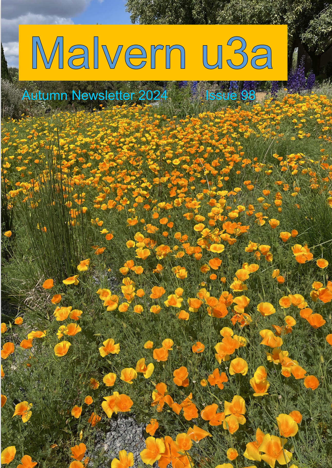 Newsletter Autumn 2024